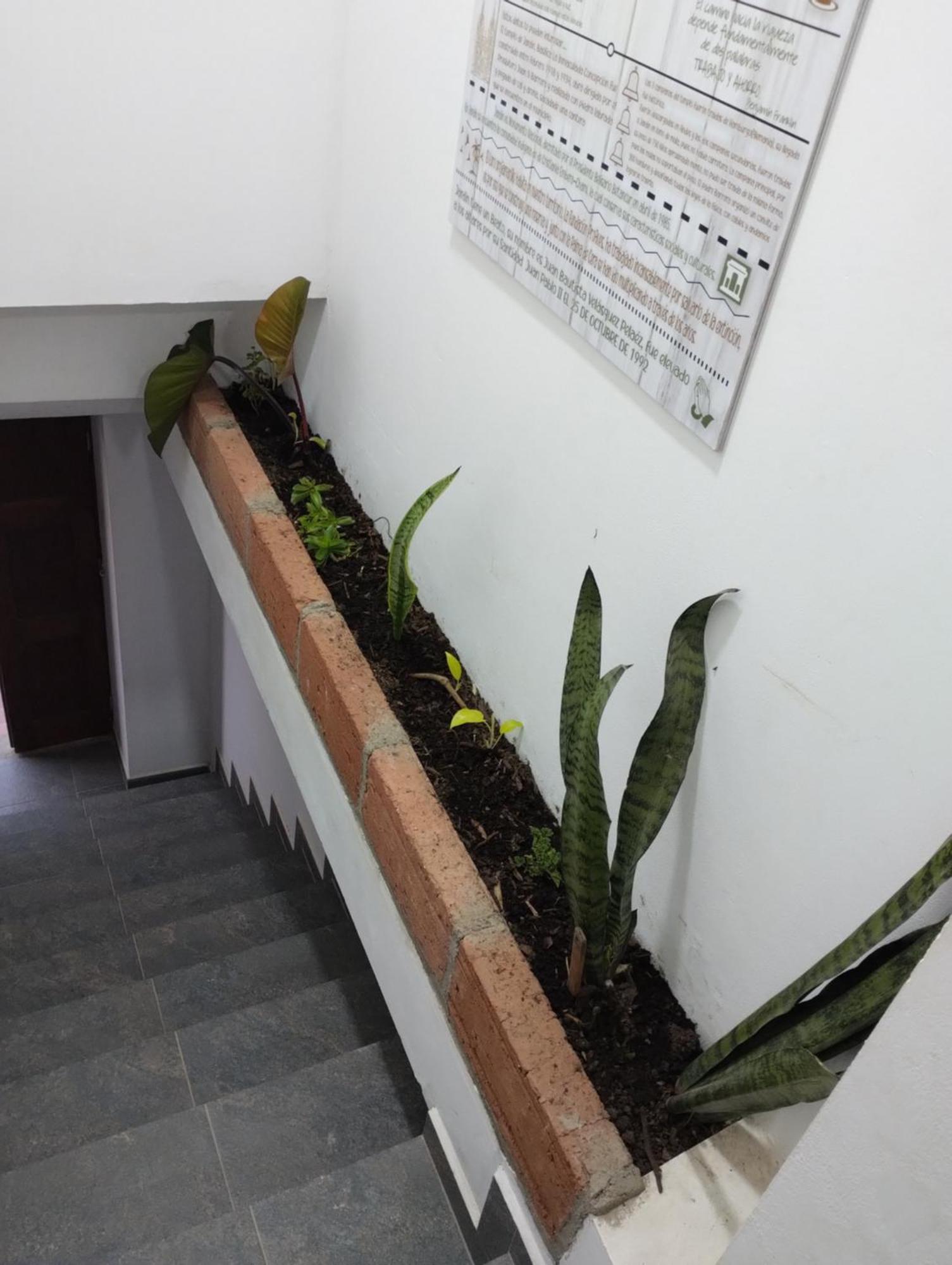 Apartamento Montesco Jardín Exterior foto